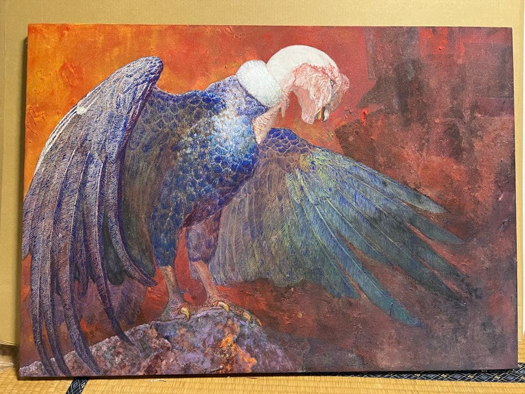 日本画　アンデスコンドル　鳥　赤　B1サイズ