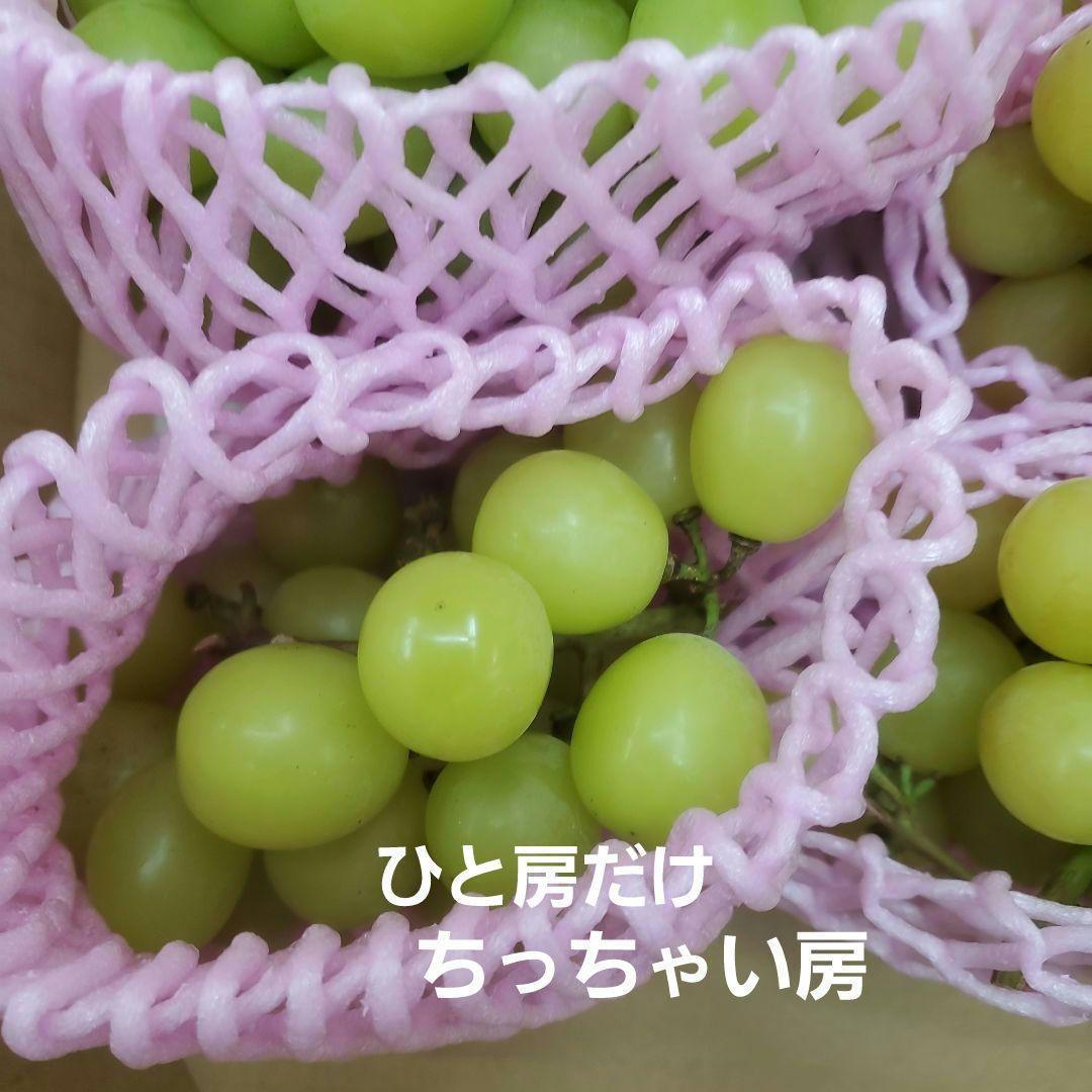 3️⃣ 山梨県産 シャインマスカット １１房 箱込み5.3キロ