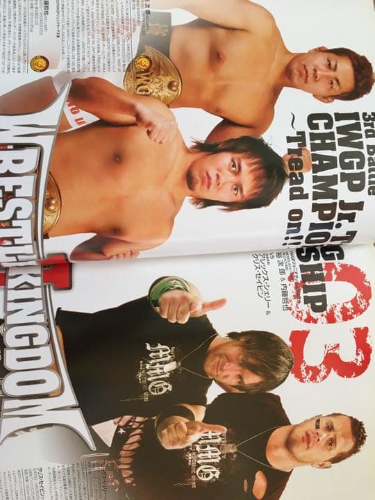 プロレス　Tシャツ　武藤敬司vs棚橋弘至プリント　記念パンフレット付き