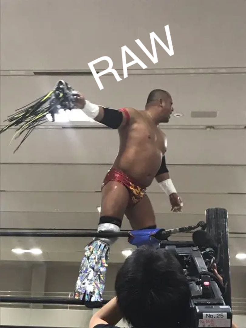 プロレス ドラゴンゲート マスク 吉田 隆司 サイバー コング 実物 本物