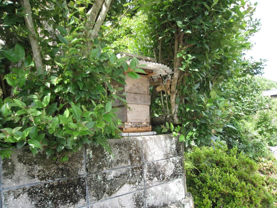 ♥️極み★稀少セット品『100％純粋春蜜の数量限定2瓶セット』《幻の天然完熟蜜》