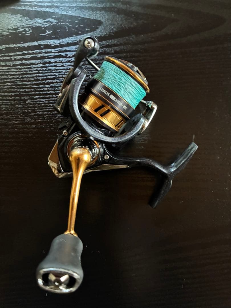 ダイワ18レガリス LT2000S-XH と　虫ヘッド 35個セット