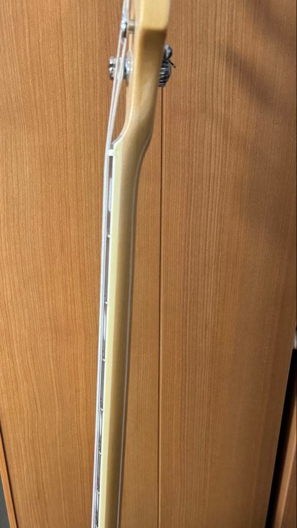 Sire Marcus Miller V7 【純正ケース付き】