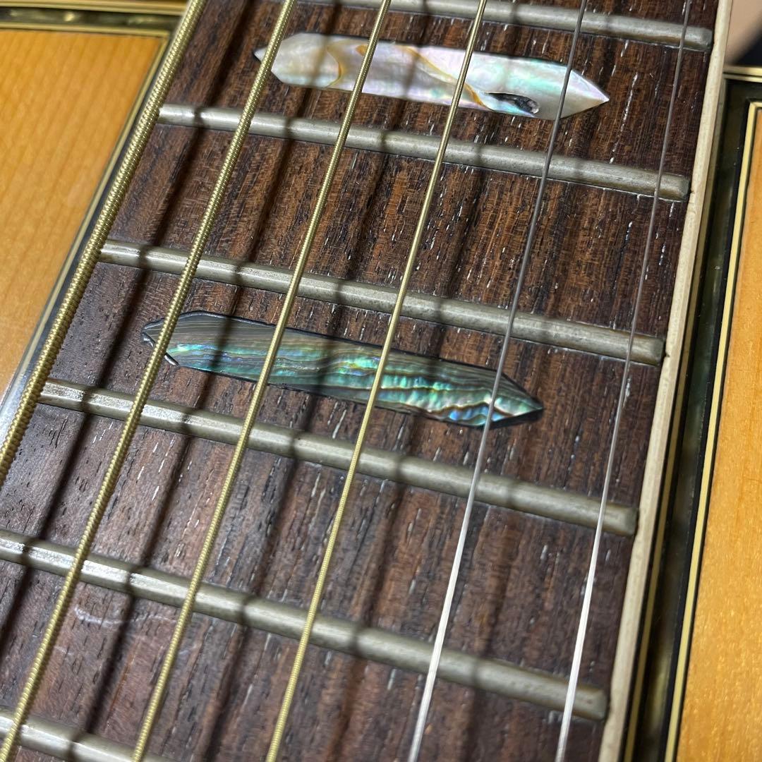 Rider R-500D Martin D-45風 Headway Momose