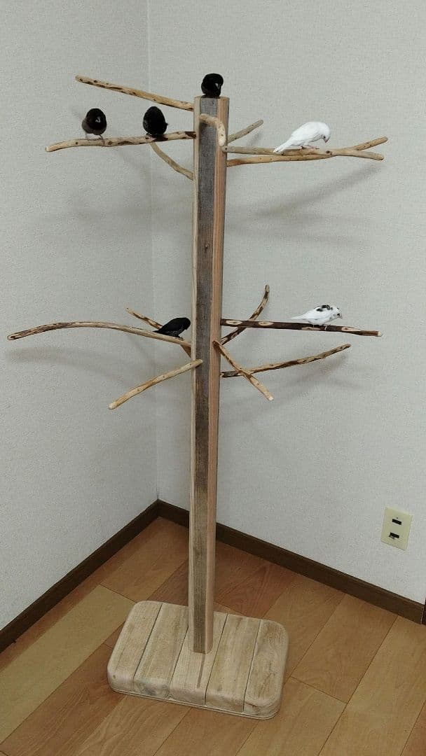 【小鳥〜中型鳥さん用】眺めのいい♬ゆったりバードスタンド