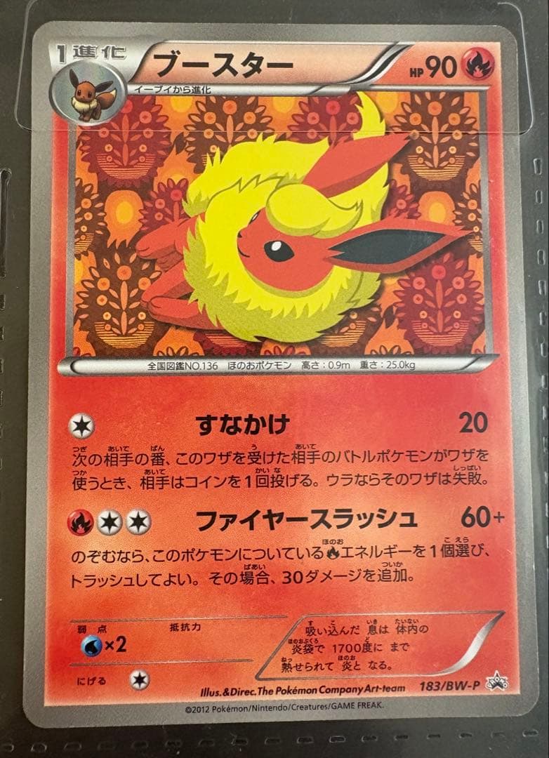 BW-Pプロモカード イーブイコレクション9枚セット おまけファイル付き