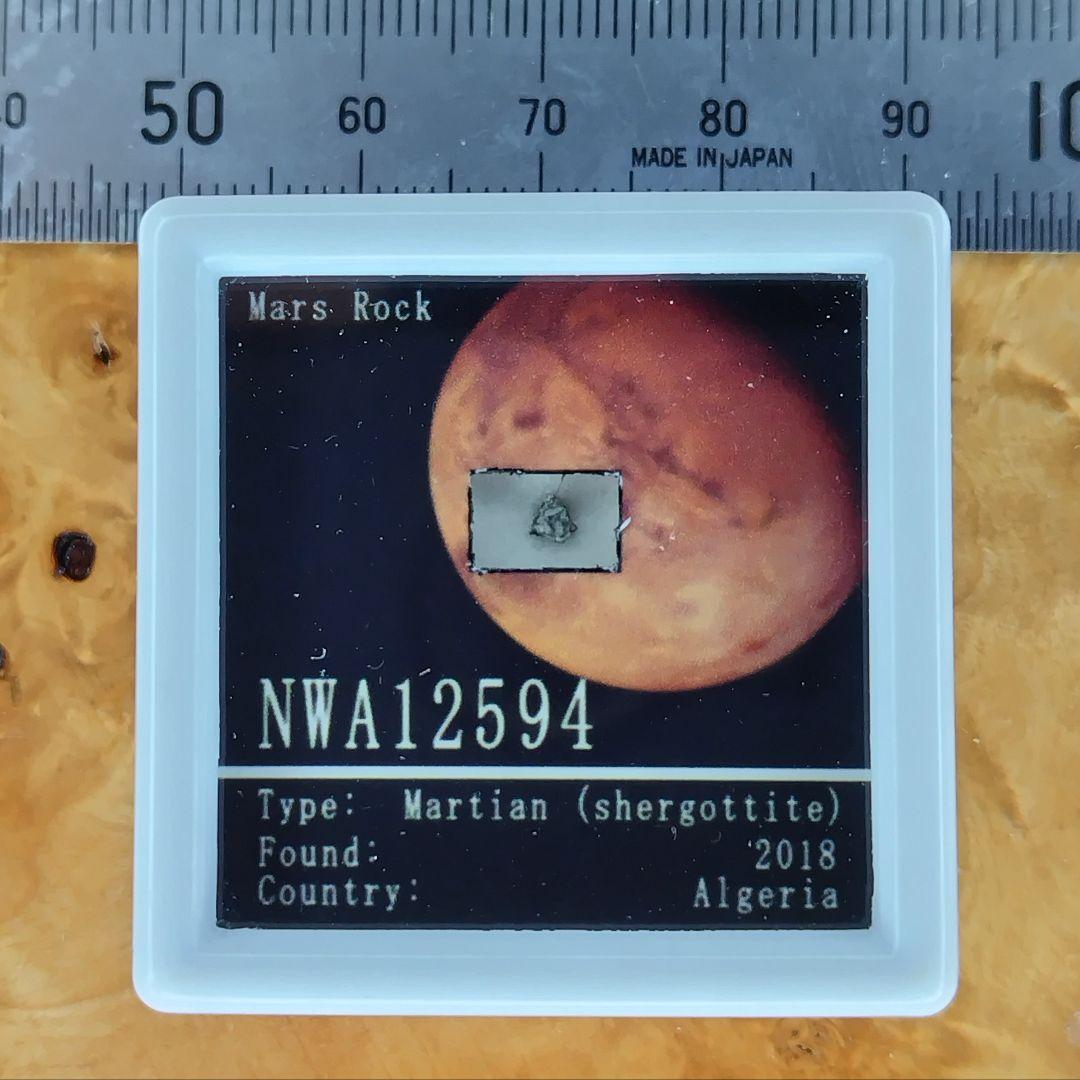 ⭐火星の石！シャーッゴッタイト　 NWA 12594　隕石標本