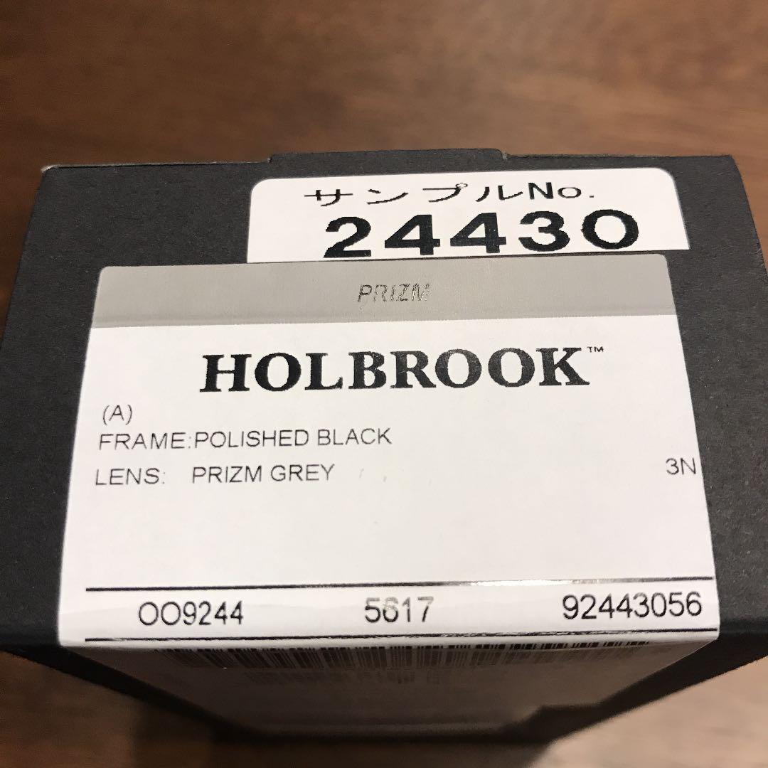 HOLBROOK  ホルブルック　金森隆志　レイドジャパン