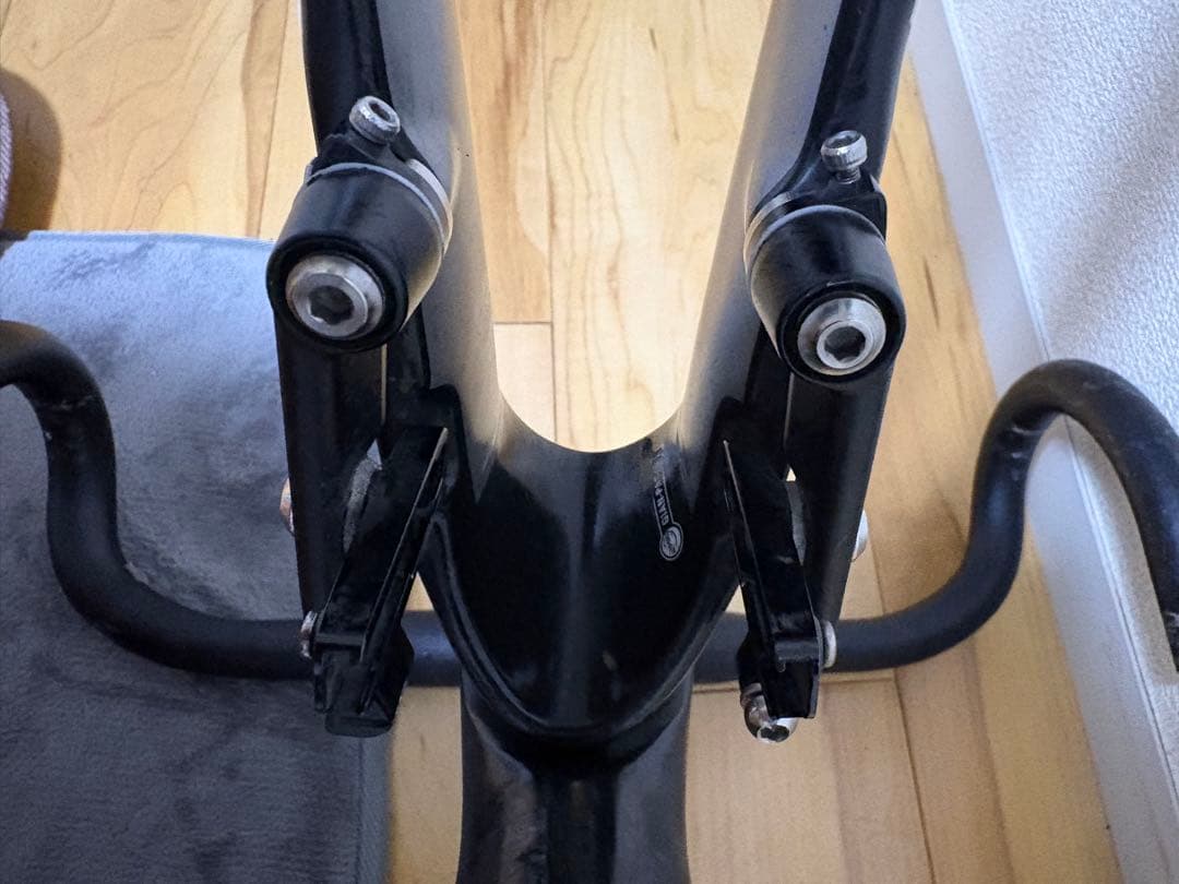 Giant propel 2015 フレームセット 即購入値下げ⭕️ 説明欄必読