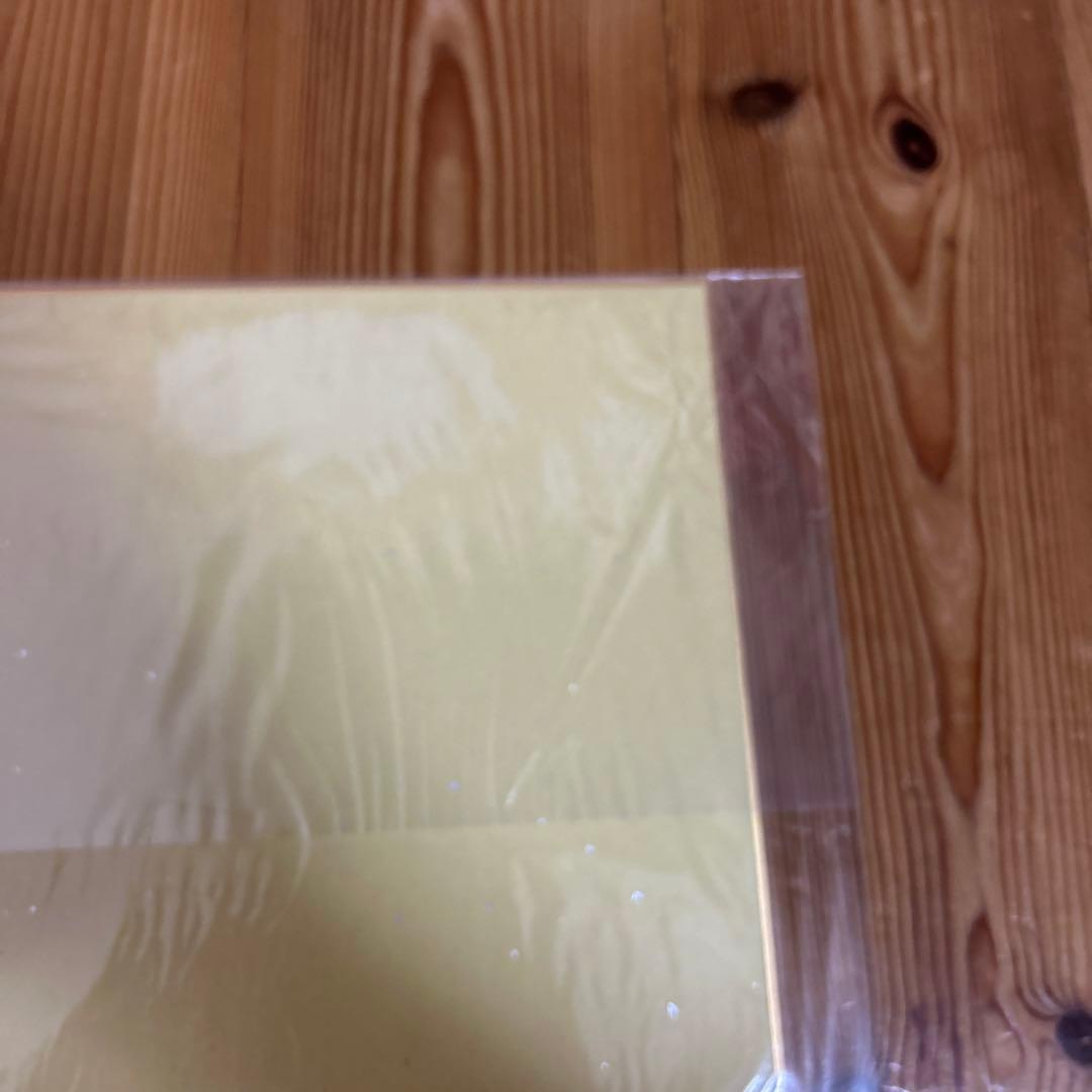 青春ブタ野郎はバニーガール先輩の夢を見ない　直筆サイン　鴨志田一　溝口ケージ