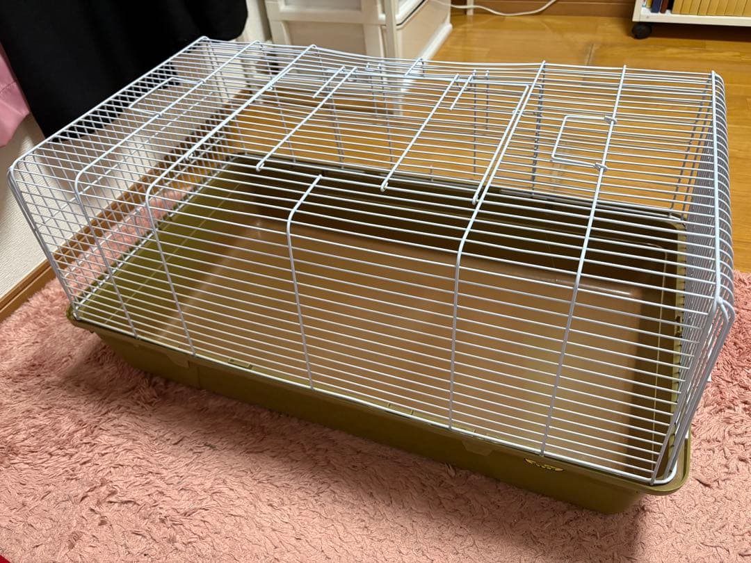 ハリネズミ飼育セット