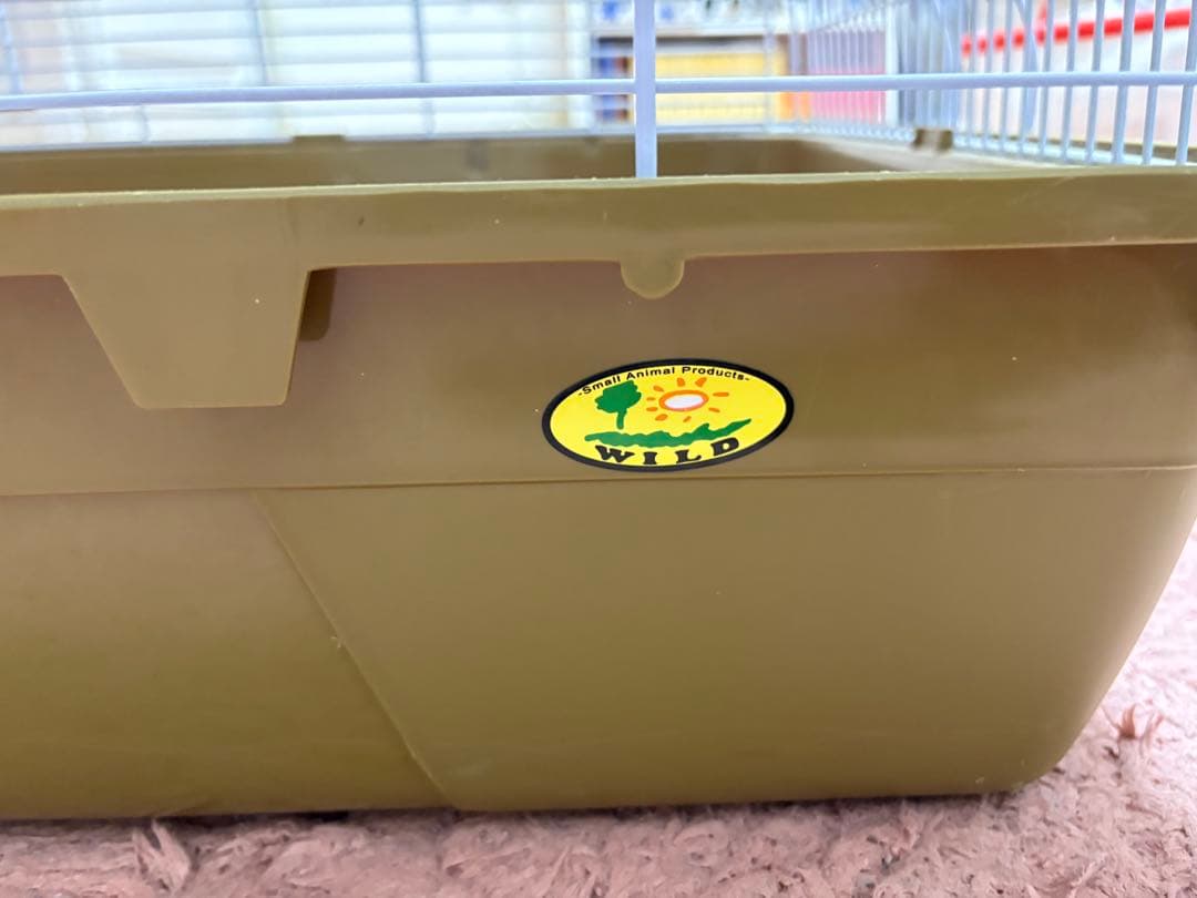 ハリネズミ飼育セット