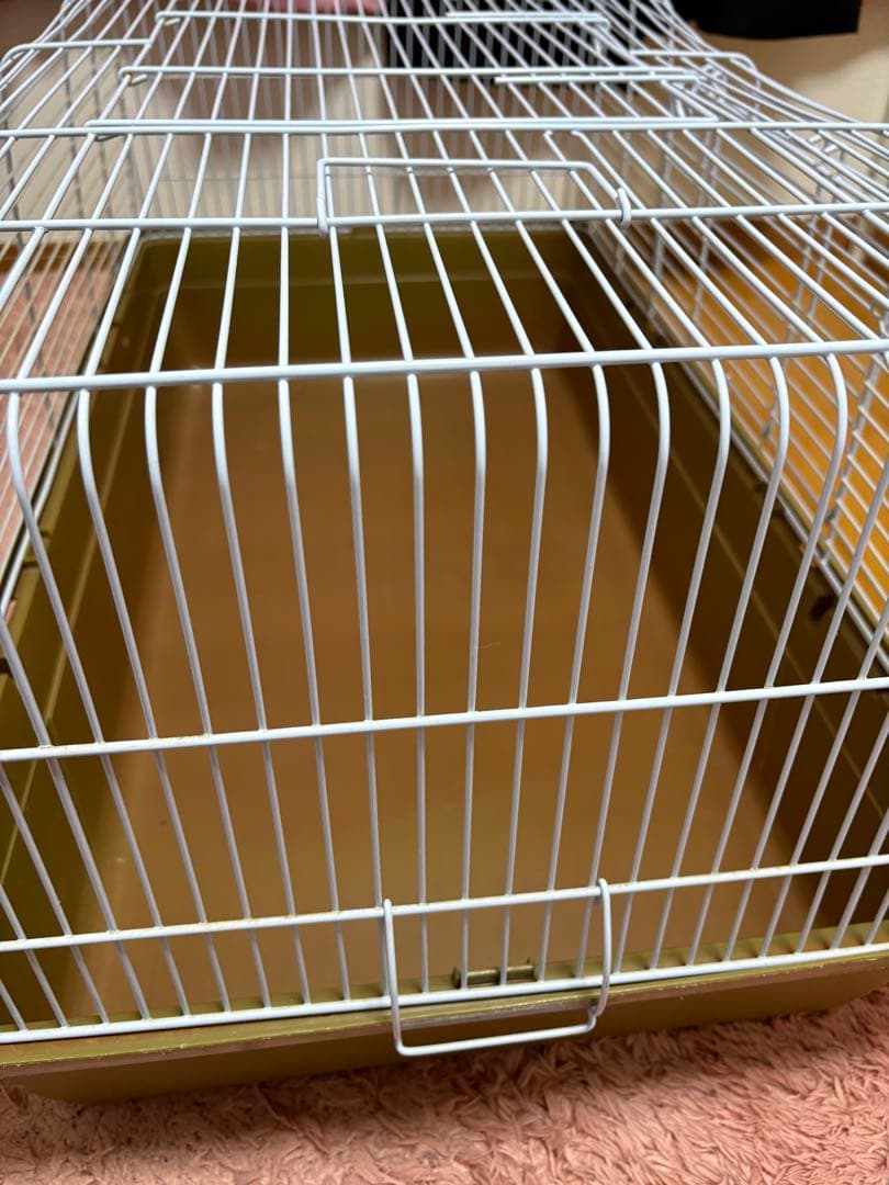 ハリネズミ飼育セット