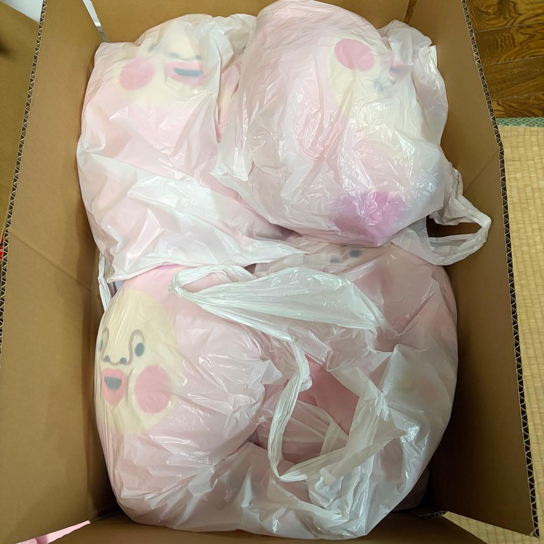 こびとづかん カクレモモジリ　BIGぬいぐるみ　寝そべりBIGぬいぐるみ