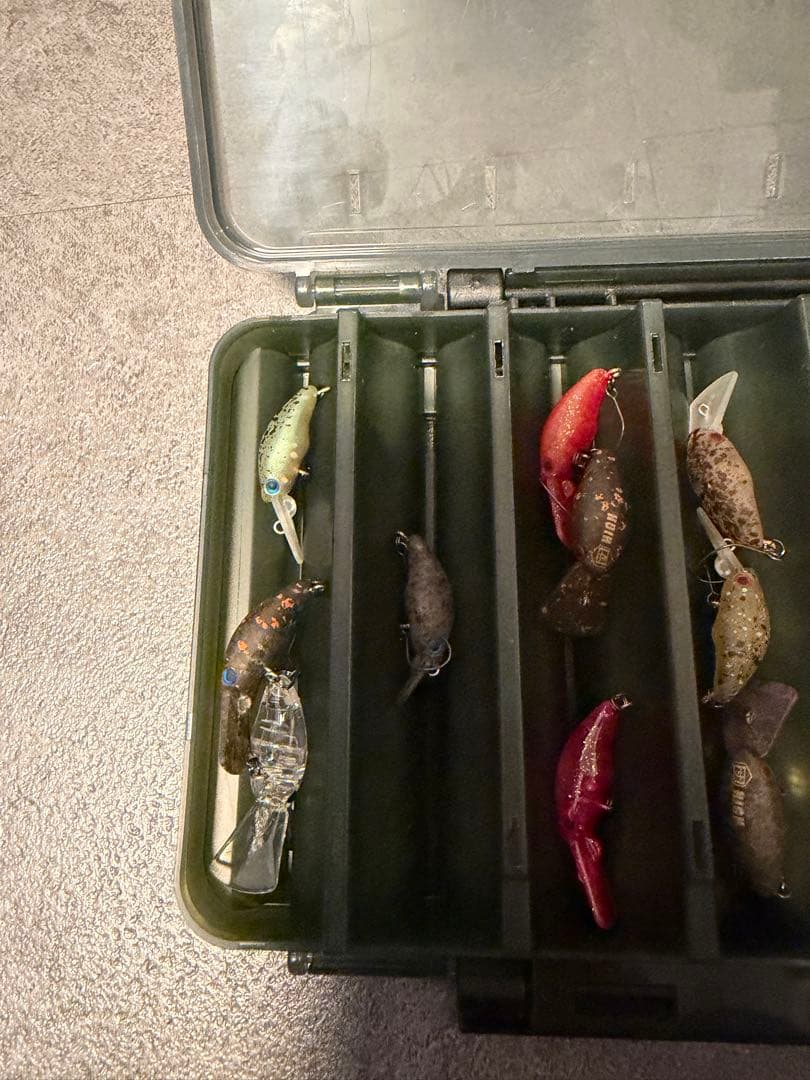 ダンゴウオ　　団子魚15個セット