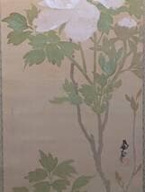 【真作】掛軸　尾竹国観　白牡丹図　気品あふれる花鳥画　繊細な筆致　T36