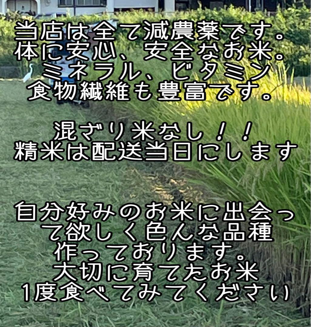 令和7年　奈良県産 ヒノヒカリ 10kg れんげ特別栽培米減農薬米　有機肥料