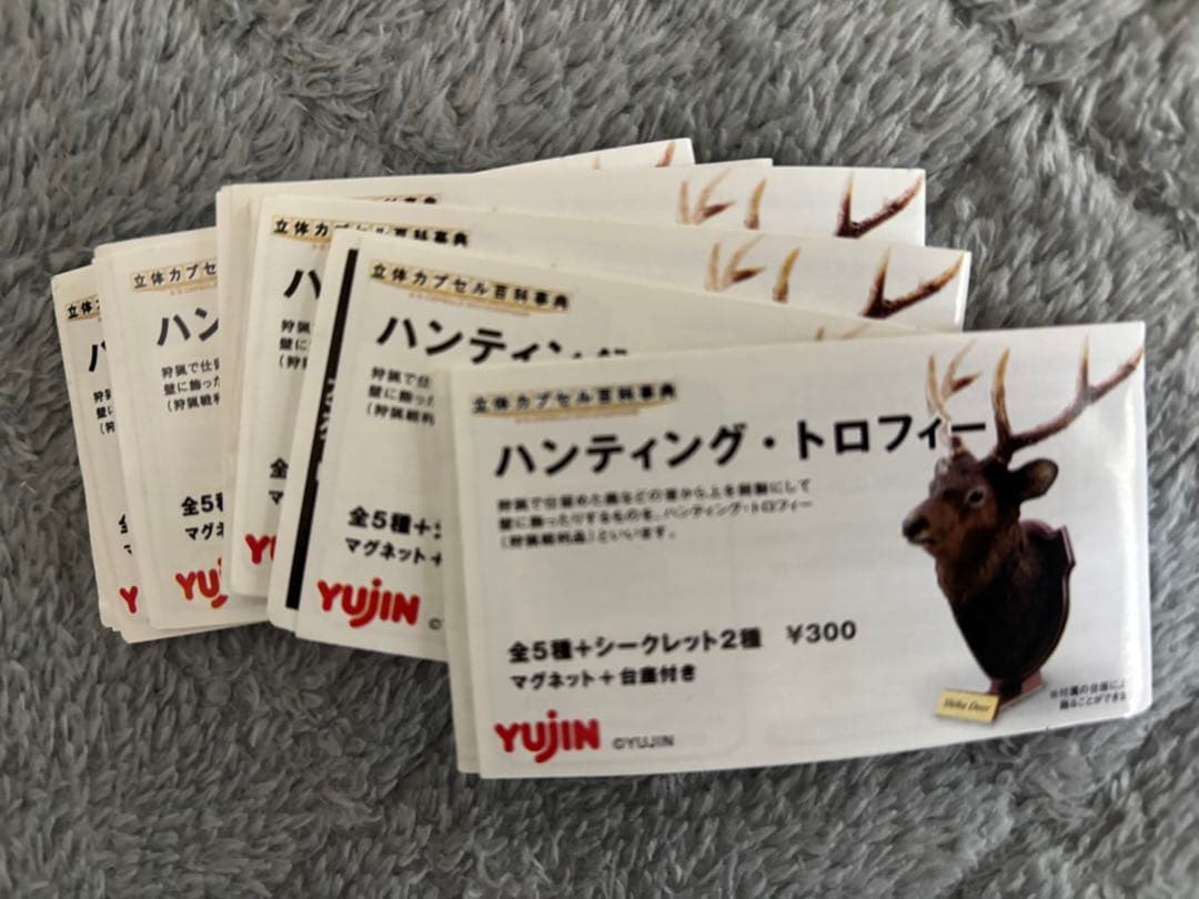 ハンティングトロフィー　シークレット　エゾシカ　ヘラジカ　ドールシープ　骨格標本