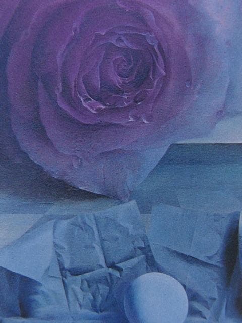 塩崎敬子、【記憶の薔薇と海】、希少な額装用画集より、新品額装付