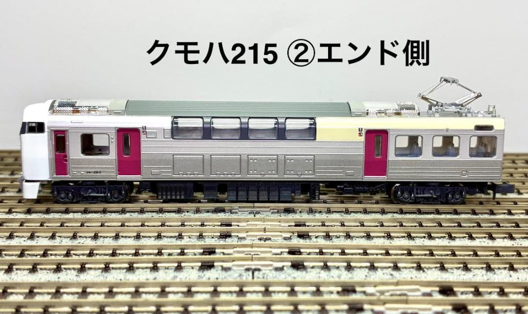 ＊絶版 精巧モデル＊215系2次車 ”ホリデー快速ビューやまなし”10両セット