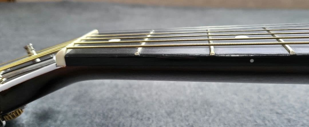 ギター Godin Rialto JR Satina Gray