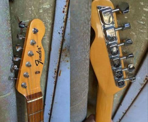 FENDER JAPAN　2006年30本限定　TL-ZEBRAホンジュラスマホ