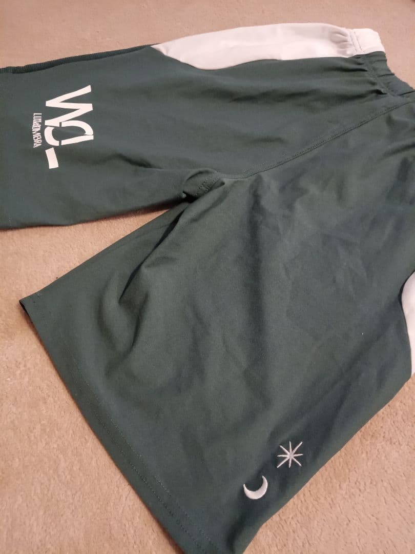 新品LUZe　ルースイソンブラ　CP WOL　トップシャツ　パンツ　上下セット