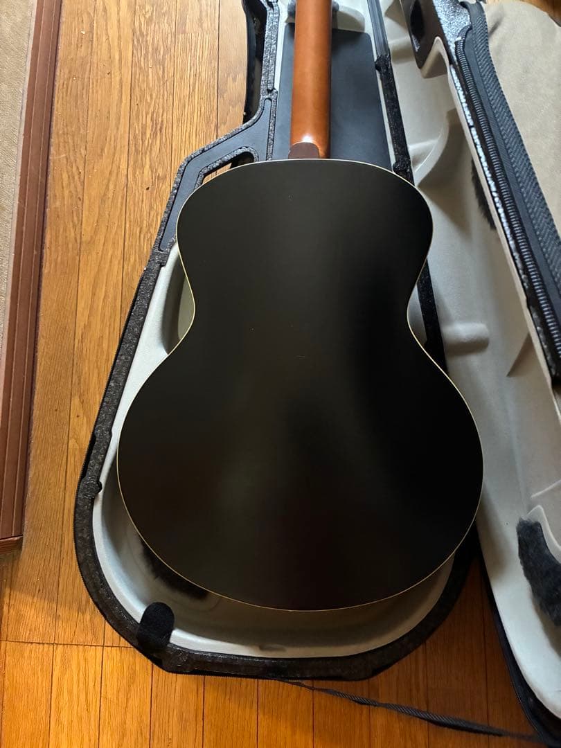 Godhin 5th avenue ゴダン　アーチトップ　アコースティックギター