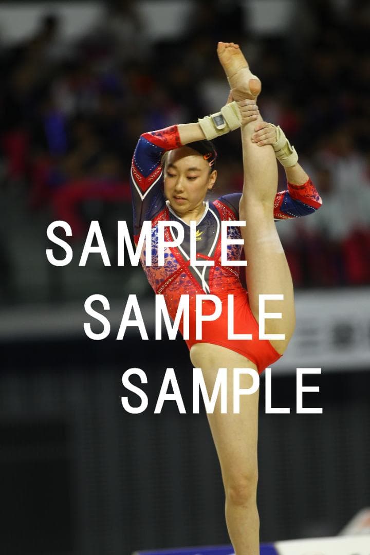 ★9/15まで値引★日本女子体操選手画像集(2019年) 約82,500枚