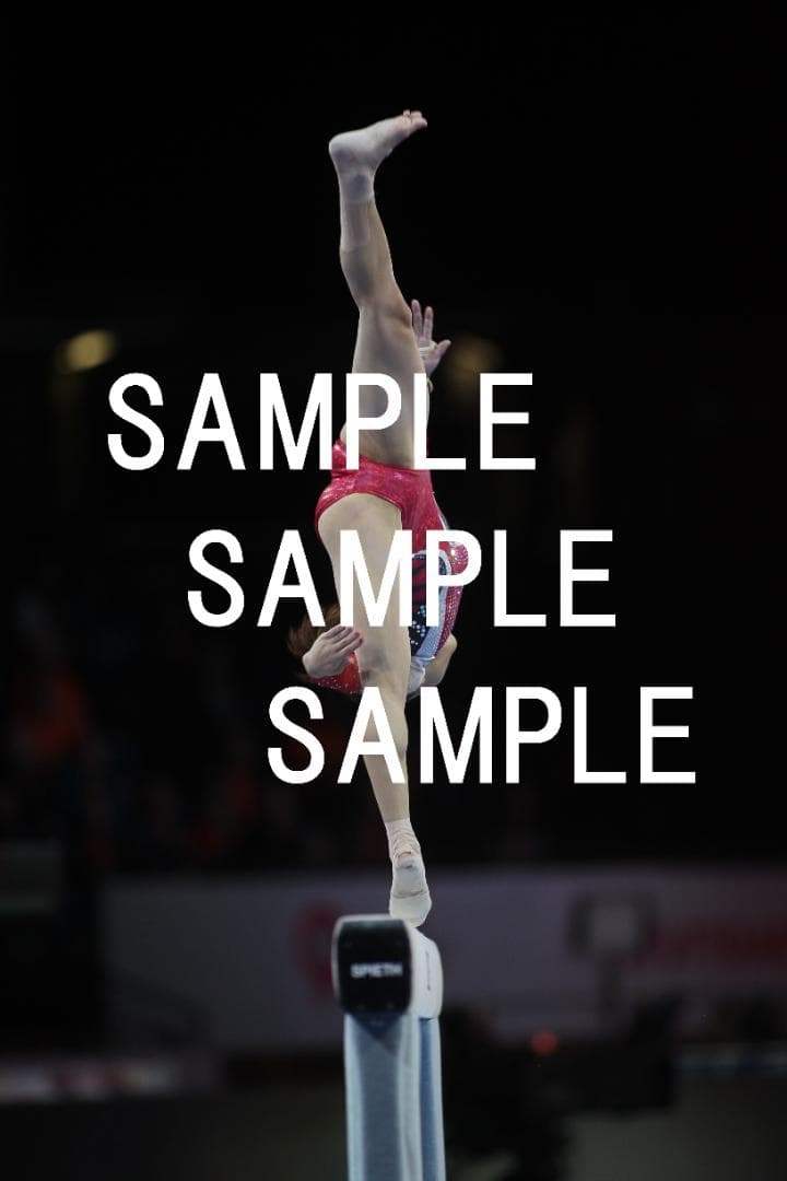 ★9/15まで値引★日本女子体操選手画像集(2019年) 約82,500枚