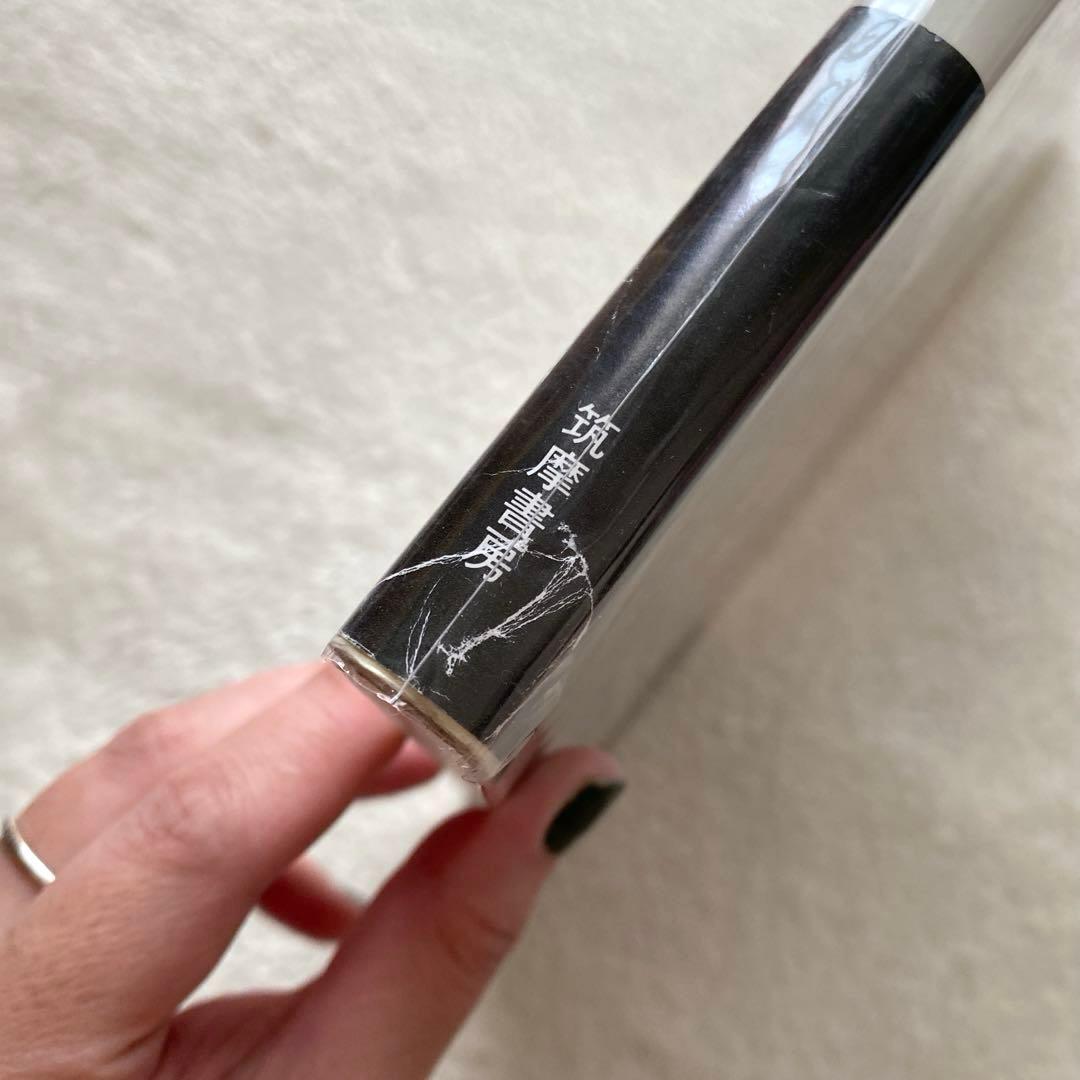 23時まで【帯＆チラシ付き】ダイアンアーバス作品集 日本語版