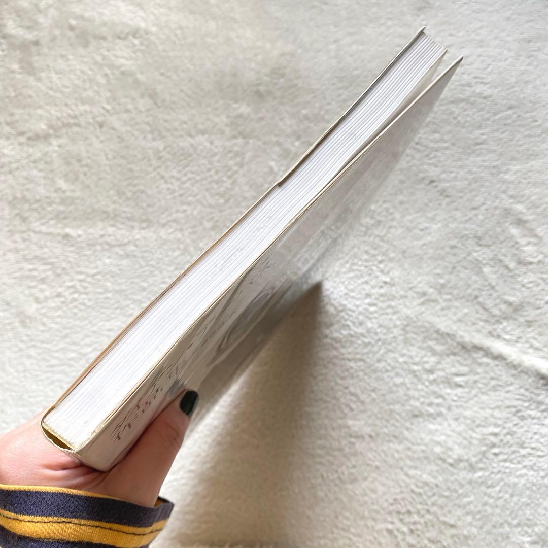 23時まで【帯＆チラシ付き】ダイアンアーバス作品集 日本語版