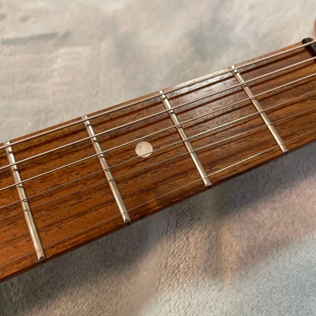 ZO-3 テルミン仕様（アンプ内蔵エレキギター）フェルナンデス