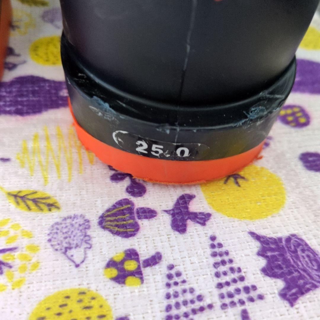 TECNICA 男性用スキーブーツ 25.0