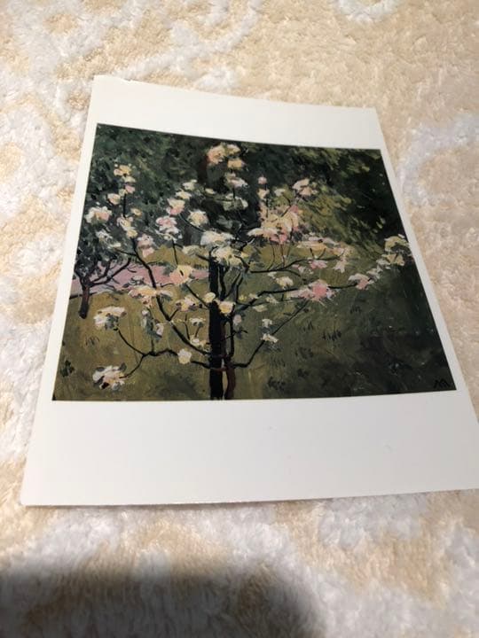 花盛りな小さな木