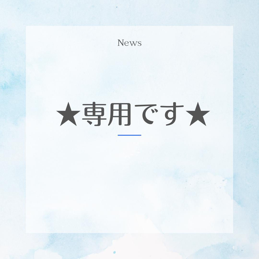 【anR様・専用】