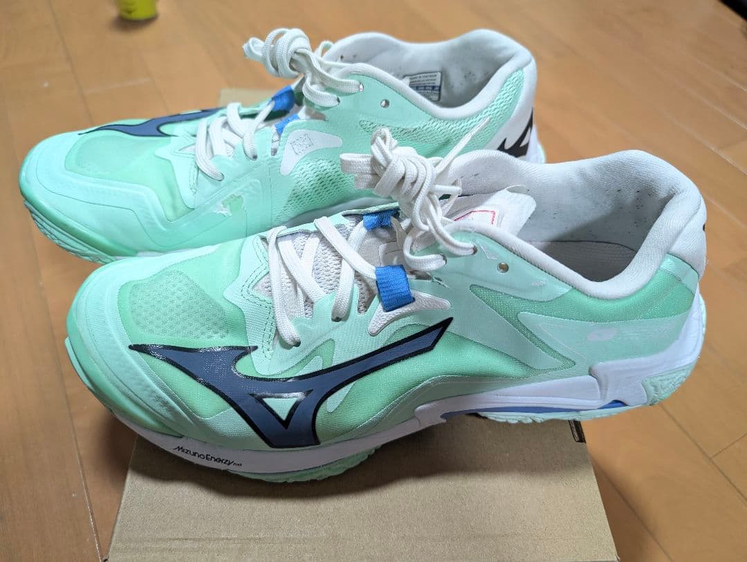 Mizunoバレーボールシューズ ウェーブライトニング ペールグリーン 26.0