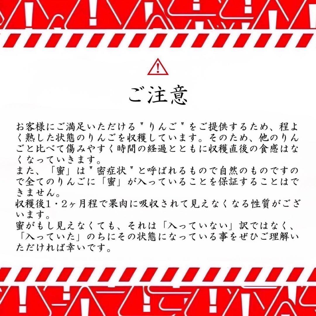 青森県産＂ こうとく(高徳) ＂りんご 家庭用 10kg 産地直送 リンゴ 林檎