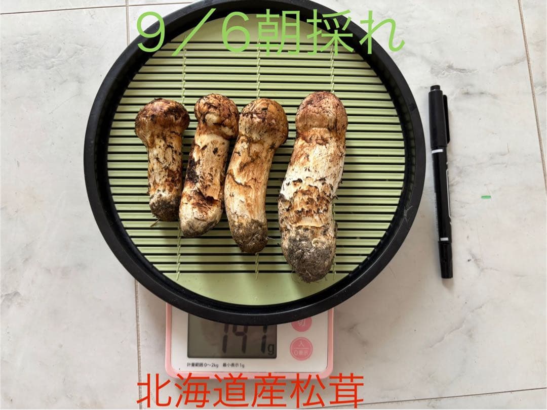 【北海道産地】9月6日朝収穫！美味しい松茸　141g