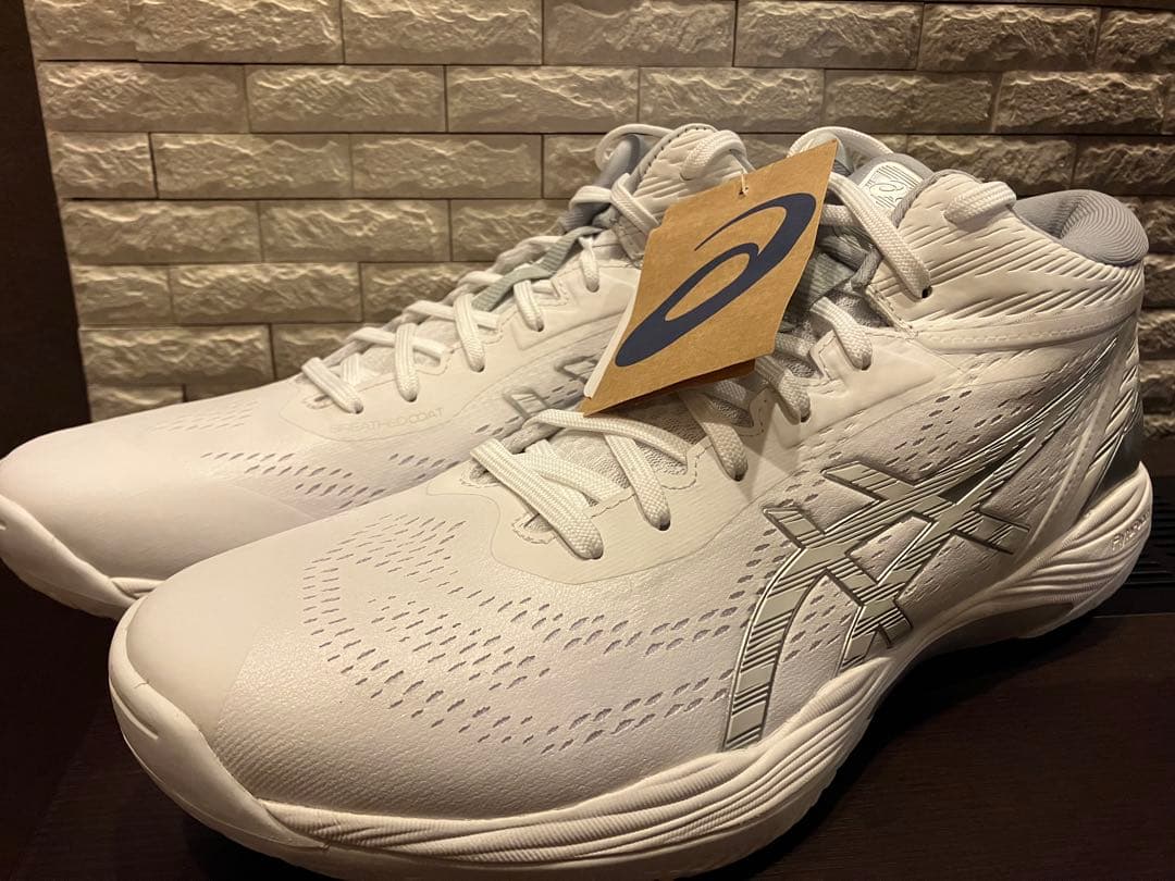 asics GELHOOP V14 アシックス ゲルフープV14(スタンダード)