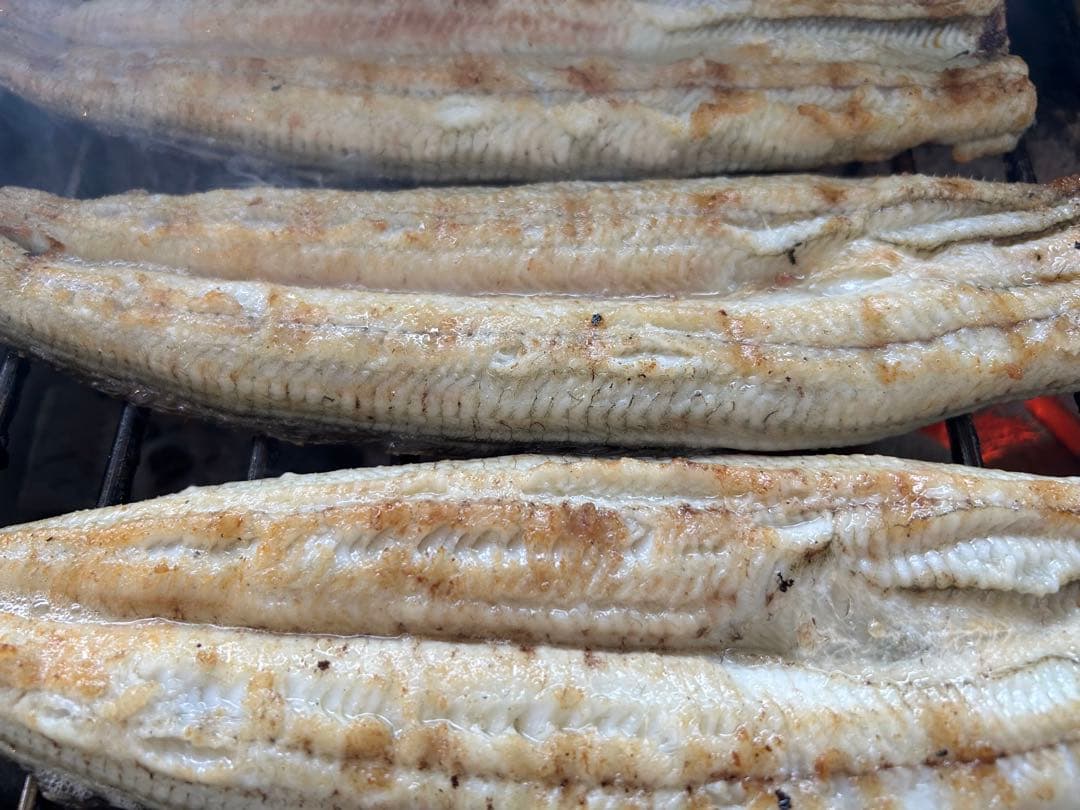 ひい様　鰻セット