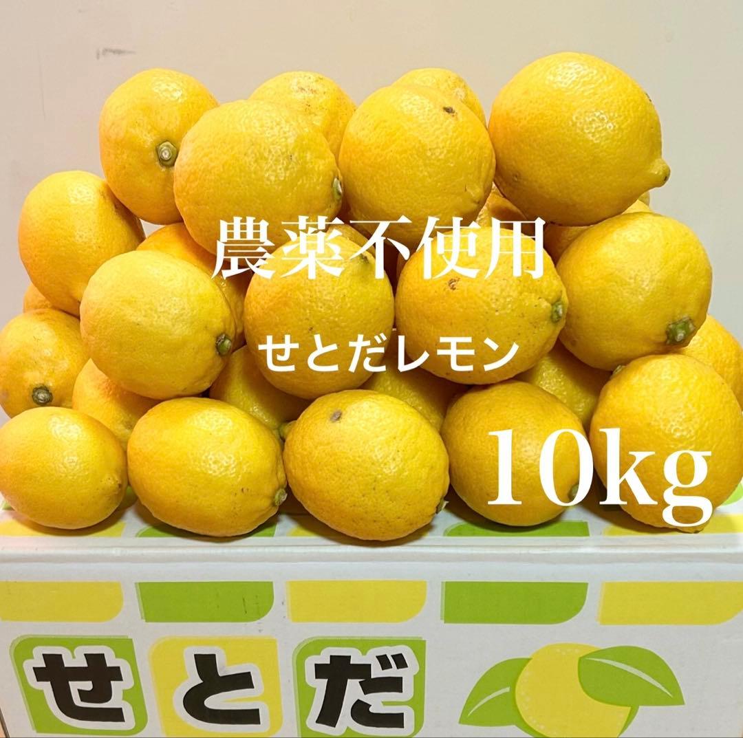 8国産瀬戸田レモン10kg前後