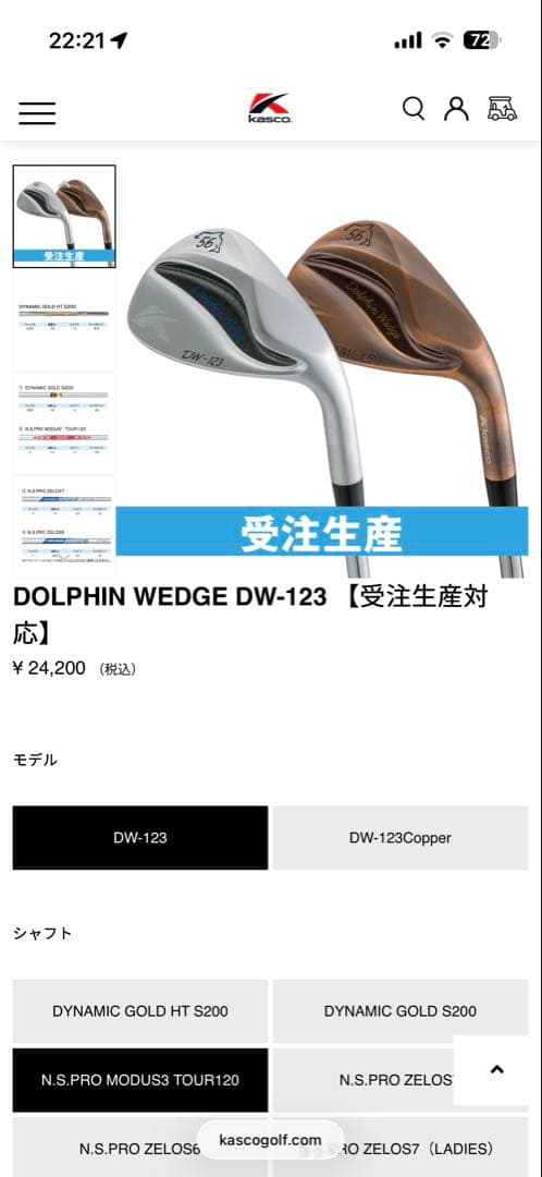 キャスコ ドルフィンウェッジ DW-123 56度 NS.PRO 120 S