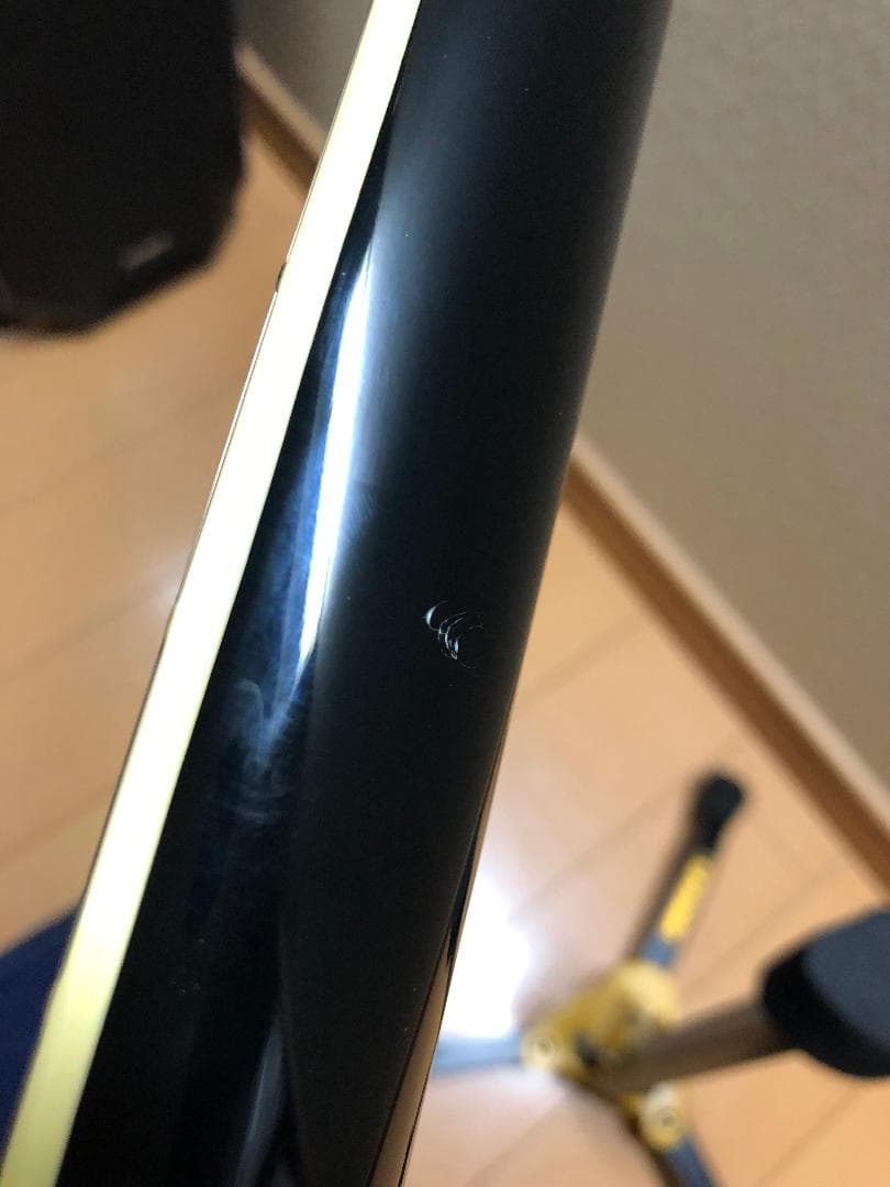 ギター Bacchus BSG-480?