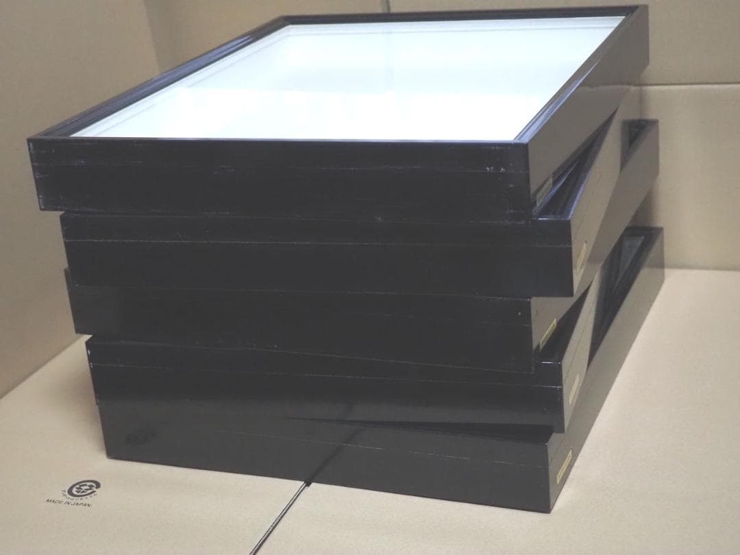 標本箱 ドイツ箱　大型　5個セット