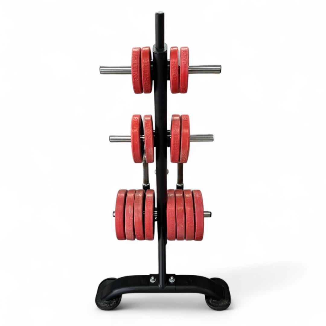 宅トレに！ダンベルプレート計55kg＋プレートラック＋トレーニングベンチ