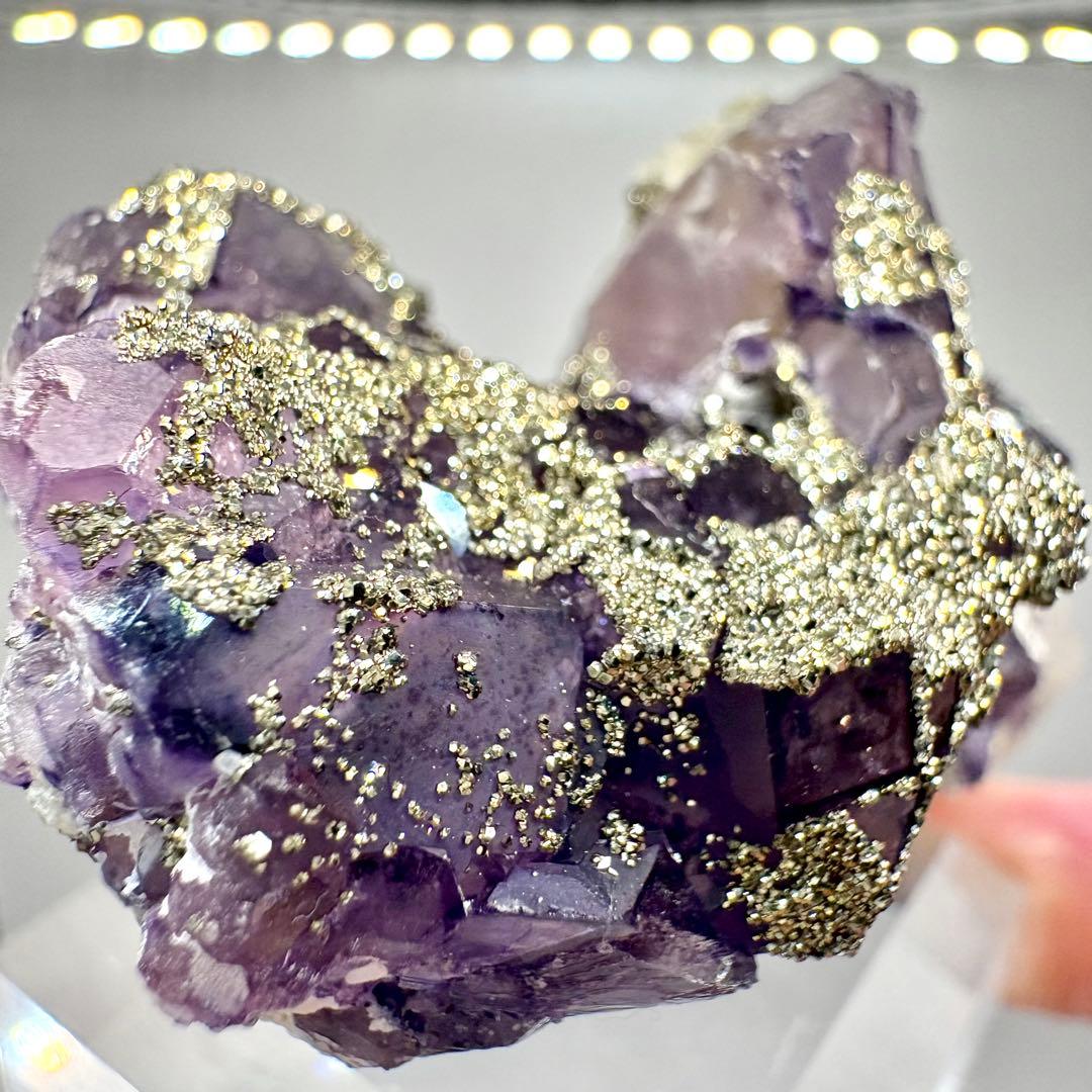 563 中国 内モンゴル産 フローライト&パイライト