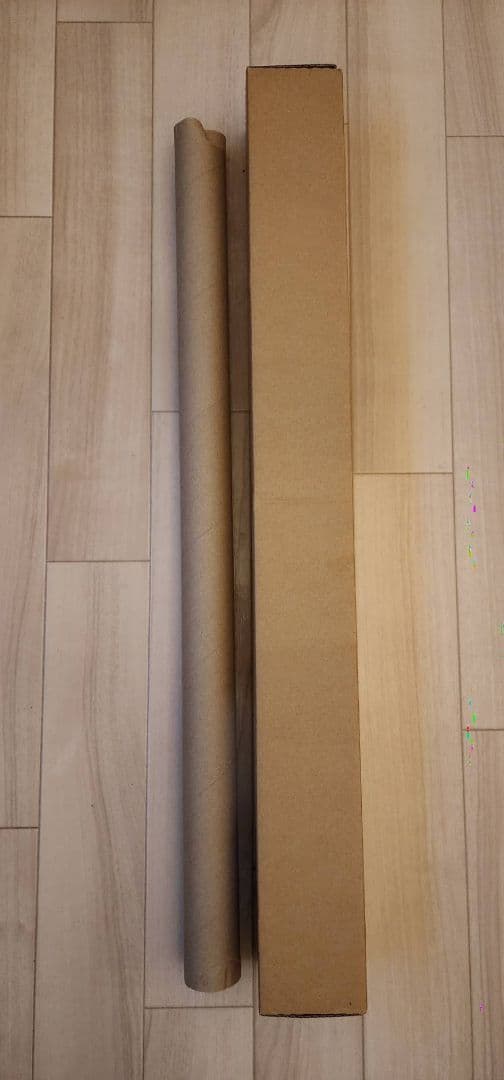 マリグナント 狂暴な悪夢/非売品/ポスター/B1/日本版劇場ポスター/限定5名