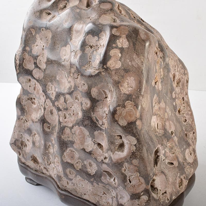 天然石　鑑賞石　置物　重さ約15kg　唐木台付　V　R6517F