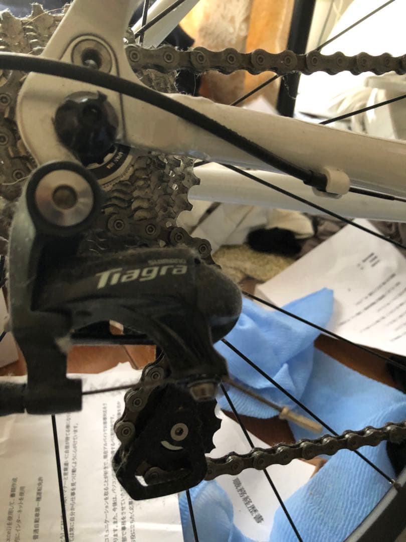 自転車　　ロードバイク　レオパード